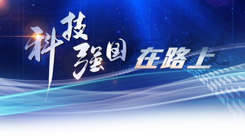 OA协同办公企业版与标准版：差异解析与选型指南